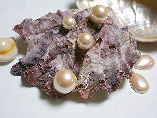 最高品質の日本製人工真珠と貝パール
